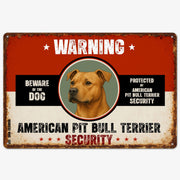 Warning American Pit Bull Terrier