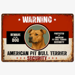Warning American Pit Bull Terrier
