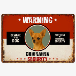 Warning Chihuahua