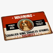 Warning Cavalier King Charles Spaniel