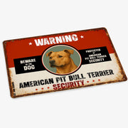 Warning American Pit Bull Terrier