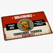 Warning Yorkshire Terrier