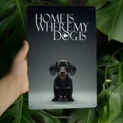 Black Dachshund Puppy