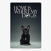 French Bulldog Puppy