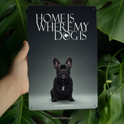 French Bulldog Puppy