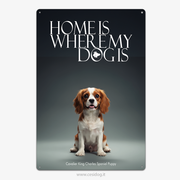 Cavalier King Charles Spaniel Puppy