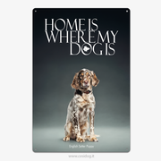 English Setter Puppy