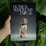 English Setter Puppy