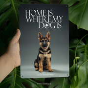 German Shepherd Puppy