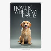 Golden Retriever Puppy