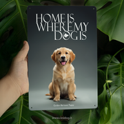 Golden Retriever Puppy