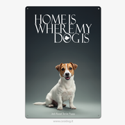 Jack Russel Terrier Puppy