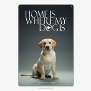 Labrador Retriever Puppy