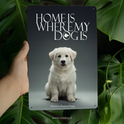 Maremma Shepherd Puppy