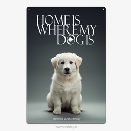 Maremma Shepherd Puppy