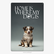 Australian Shepherd Puppy