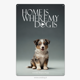 Australian Shepherd Puppy