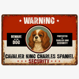 Warning Cavalier King Charles Spaniel