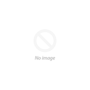 Maremma Shepherd Puppy